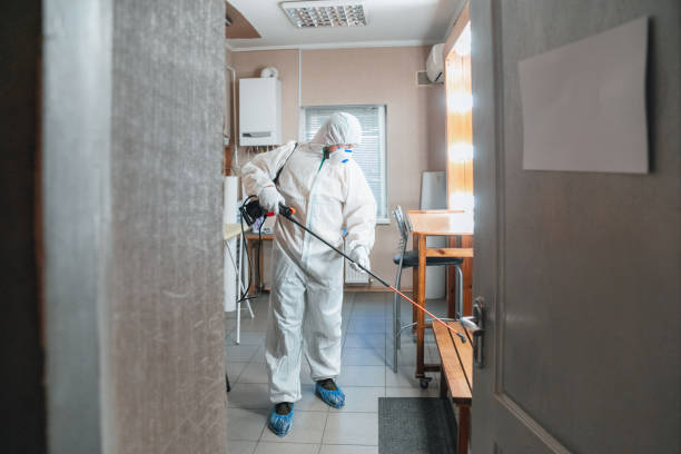 Trusted Hedwig Village, TX Mold Removal Experts